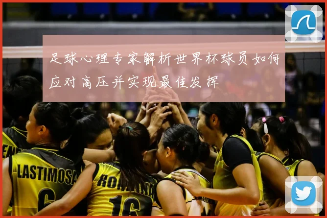 足球心理专家解析世界杯球员如何应对高压并实现最佳发挥